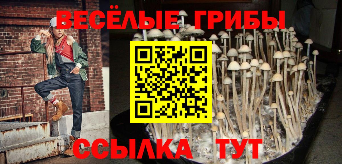 Лабытнанги  Псилоцибиновые грибы GOLDEN TEACHER  Вход с VPN 